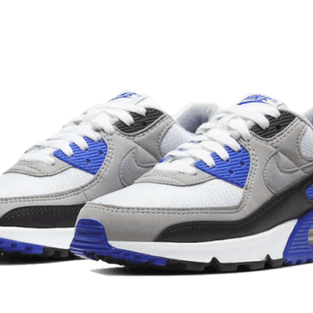 Nike Sko Air Max 90 Hyper Royal